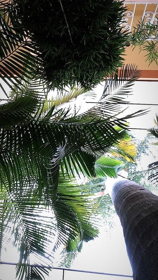 Hotel Tierra Del Sol Oaxaca Eksteriør billede