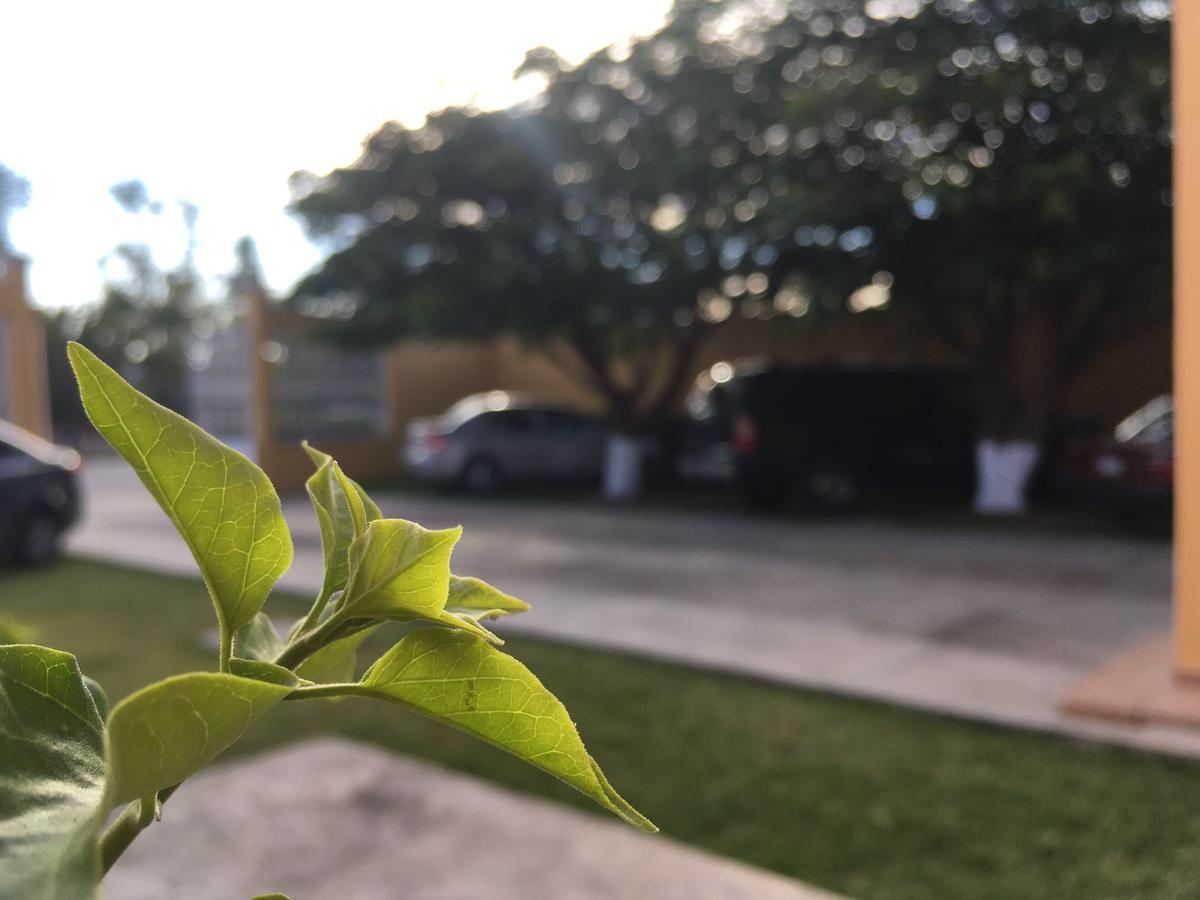Hotel Tierra Del Sol Oaxaca Eksteriør billede